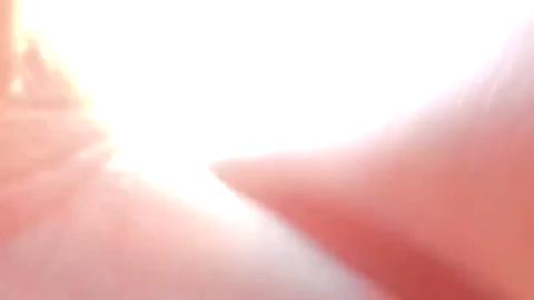 2629