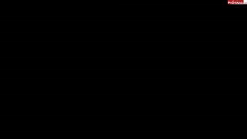 19037