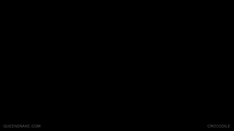 11913