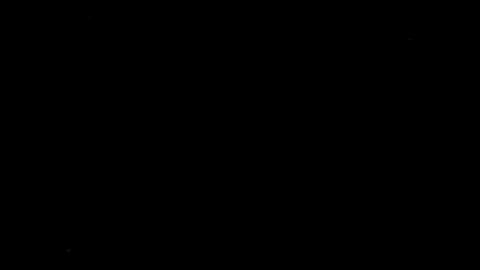 12646